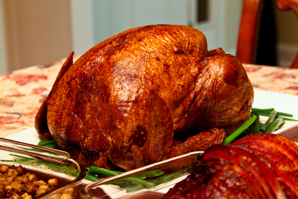 Turkey - Stories from the Research Field Director: It’s raining turkey jokes!